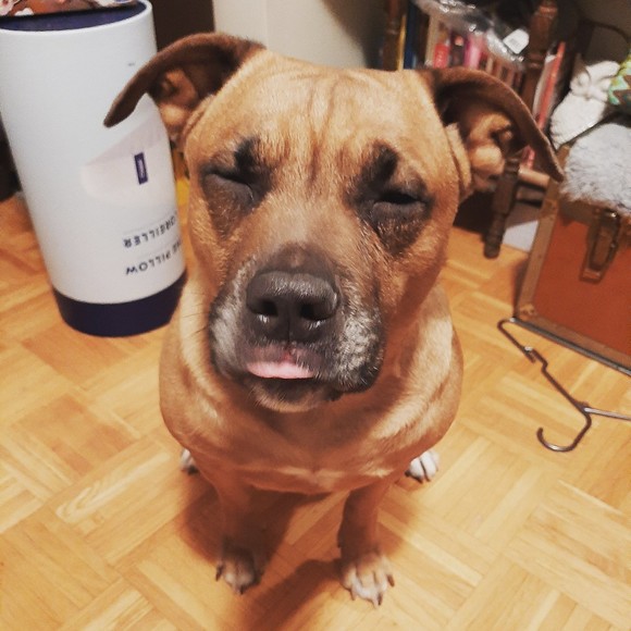 Meet your Posher, Kyla - Picture 1 of 1